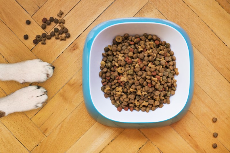 Hladno stiskana hrana za pse je zelo podobna naravni prehrani